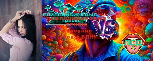 бошки Приозерск