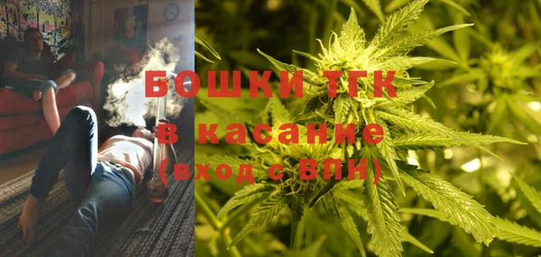 амф Протвино